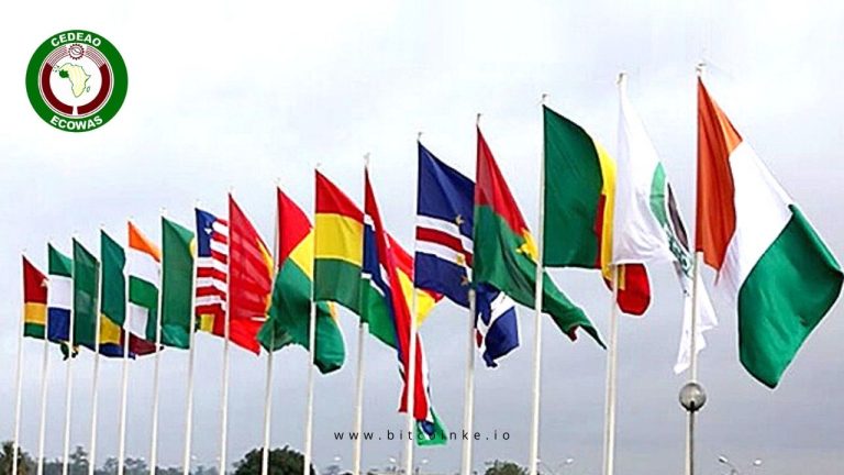 ECOWAS flags