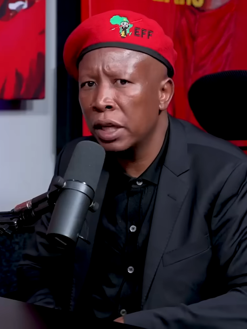 Julius_Malema,_November_2024_(cropped)