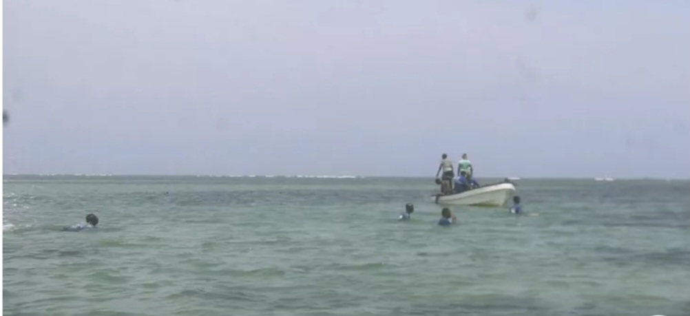 Screenshot_20250904_100604_Chrome