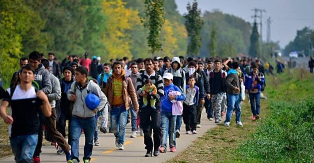 Screenshot_20250904_133956_Chrome