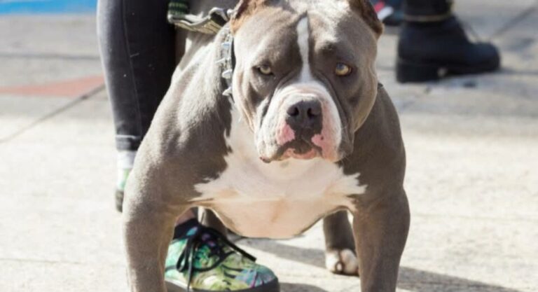 Screenshot_20250917_133252_Facebook