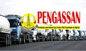 download - 2025-09-29T103545.325