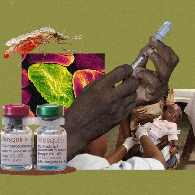 Africas New Weapon Against an Old Killer How Malaria Vaccine Brings Hope to a Strained Continent