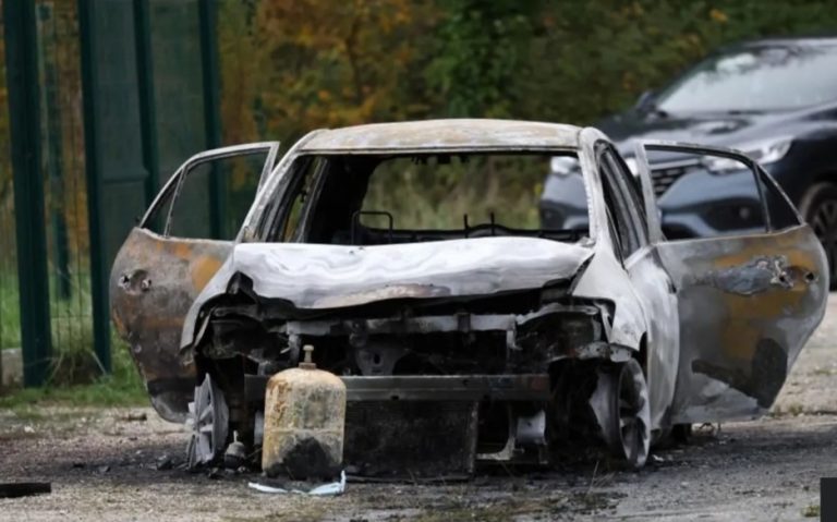 Holiday Island Horror