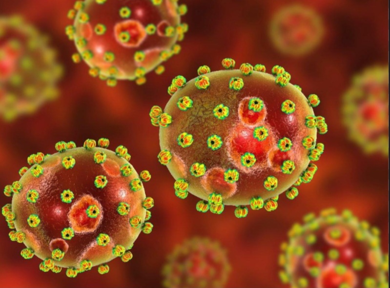 Lassa fever Outbreak