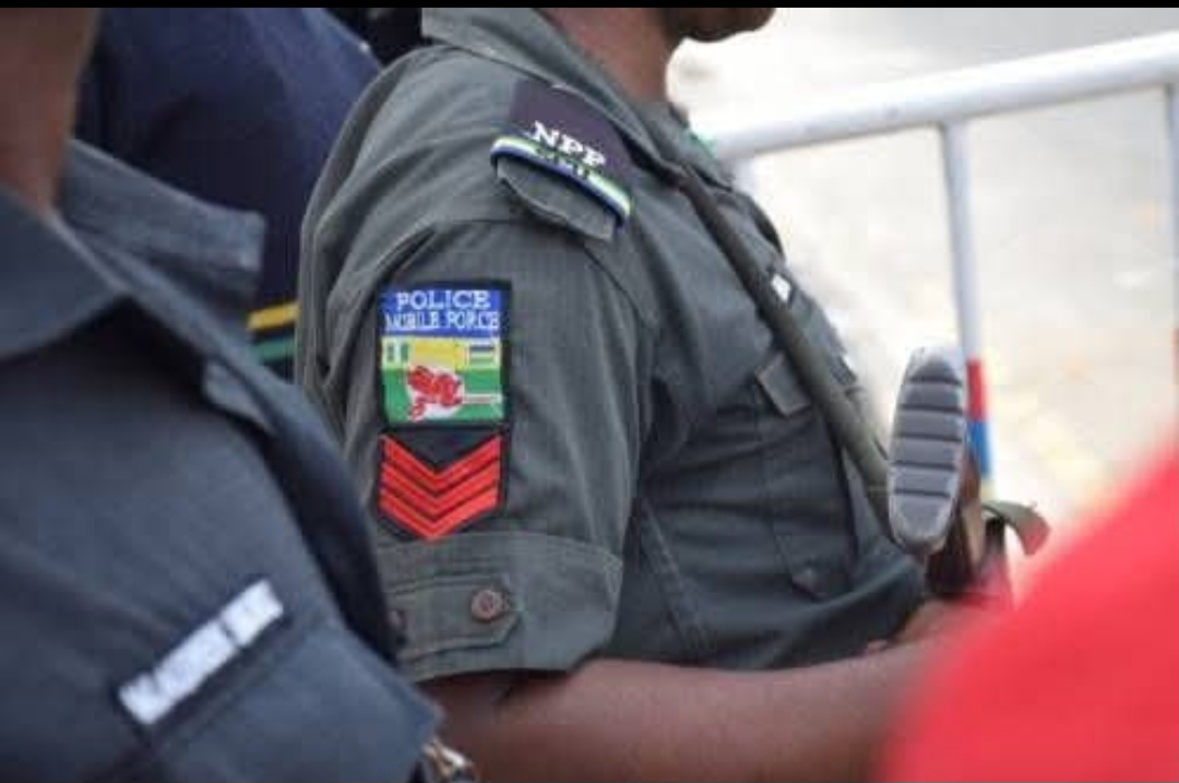 Abuja Police