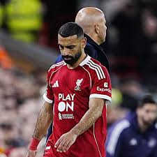 images - 2025-12-12T174854.922