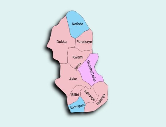 Journalists Narrowly Escape Fatal Crash in Gombe