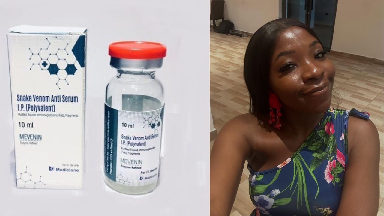 When Snakebite Becomes a National Question: Did Nigeria Fail Ifunanya?