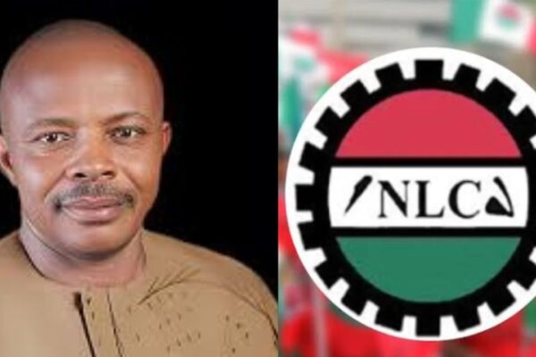 NLC: N3tn Power Bailout Economically Unwise