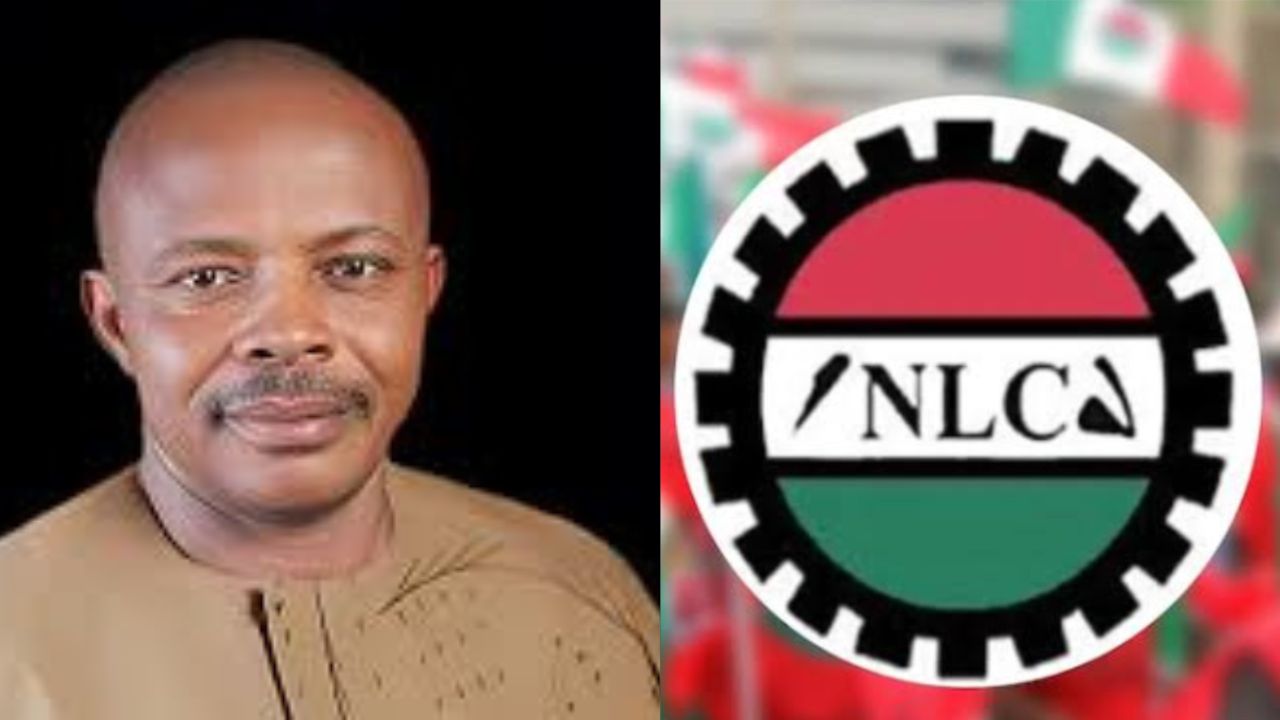 NLC: N3tn Power Bailout Economically Unwise