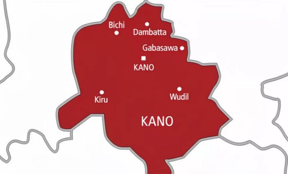 Kano Troops Ambush Bandits, Recover 257 Stolen Livestock