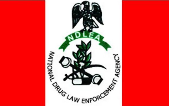 NDLEA Dismantles Drug Joints in Kano Ramadan Raid