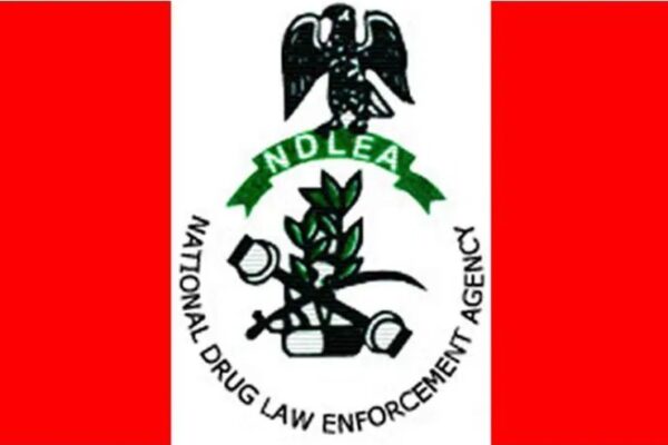 NDLEA Dismantles Drug Joints in Kano Ramadan Raid