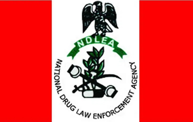 NDLEA Dismantles Drug Joints in Kano Ramadan Raid