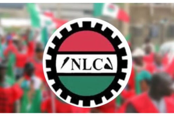  NLC Threatens Nationwide Shutdown Over Grid Collapse
