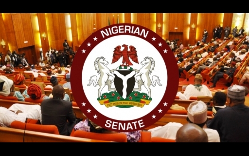 Nigerians Cry, Oh Nigerian Senate Save The 2027 Elections