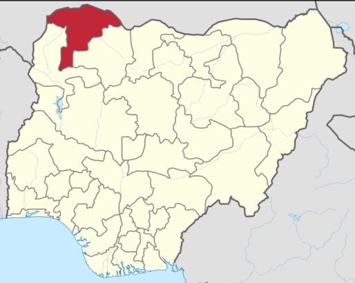 Meningitis Outbreak Kills 33 Children in Sokoto