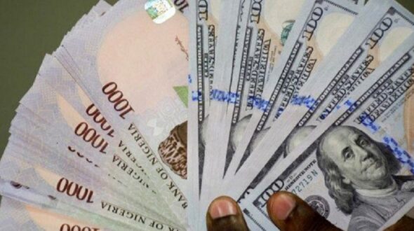 Naira Opens Stable as FX Gap Persists