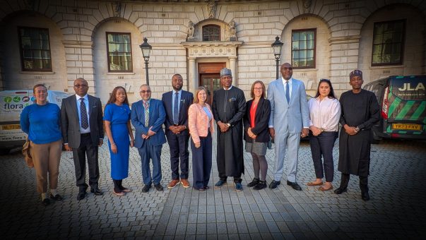 Nigeria and UK to Plug £1.2bn Trade Data Leak