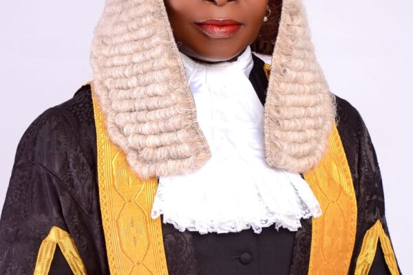 Mrs. Boma Alabi: The Pragmatic Law, Leadership Powerhouse