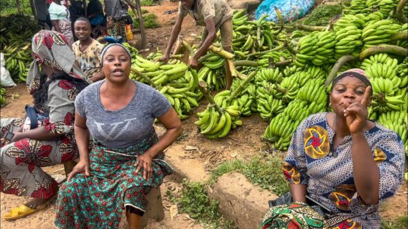 80% of Female Businesses Lack Access to Credit - FG