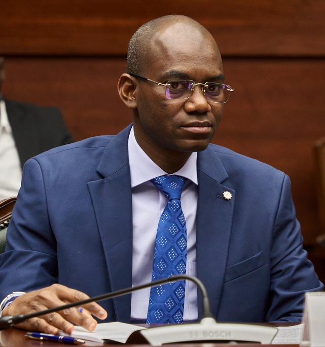 Malian Defence Minister Killed as Insurgency Explodes