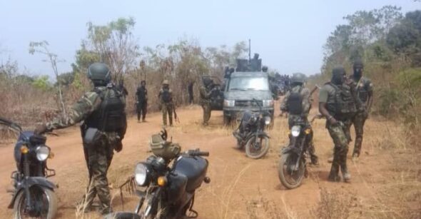 Troops Free Four Hostages in Katsina Forest Raid
