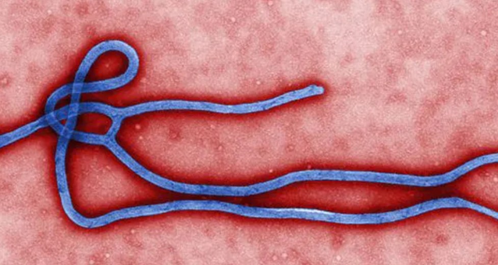 Ebola Outbreak Kills 100 in DR Congo