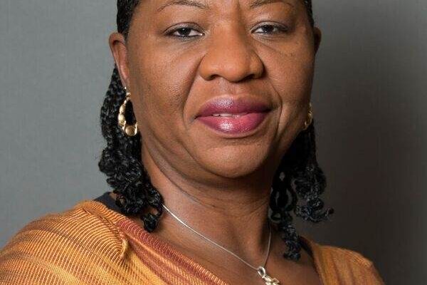 Nigerian Professor Jailed in US over Childcare Fraud