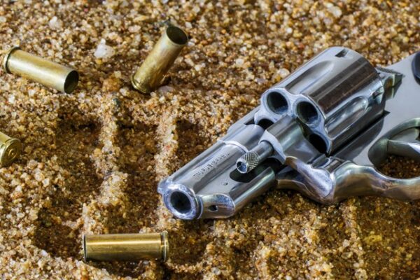 Lekki, Lagos Island Lead State Crime Charts