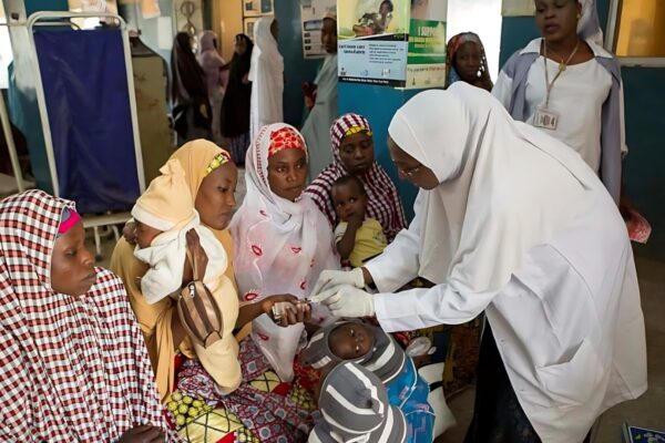 State Subsidies Plaster Nigeria’s Fractured Healthcare System