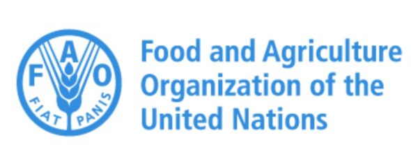 Government and FAO Launch Bird Flu Response Programme