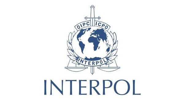 Artificial Intelligence Drives Most African Cybercrime Losses -INTERPOL