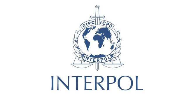 Artificial Intelligence Drives Most African Cybercrime Losses -INTERPOL