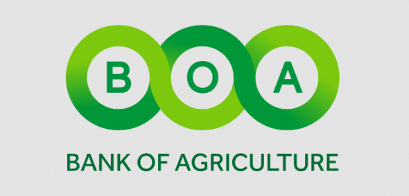 BOA Unveils N200bn Grain Price Guarantee Scheme