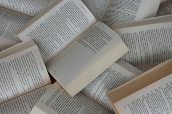 The Return of Physical Books: Why Readers Are Choosing Paper Again