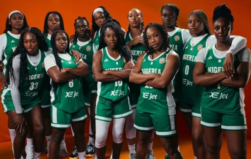 FG Pays D'Tigress $100,000 Each Over Afrobasket