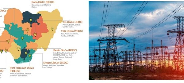 The Friction Between State Electricity Markets and DisCo Monopolies