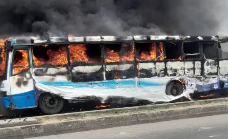 The BRT Lynching and the Breakdown of Trust in Urban Transit Systems