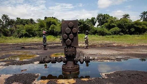 FG Opens Bid For 40 Oil Blocks