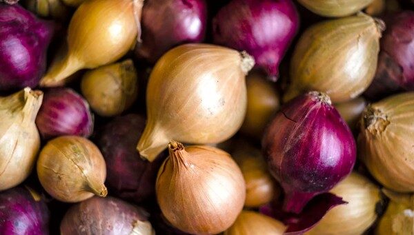 Onion Prices Soar as Storage Woes Bite
