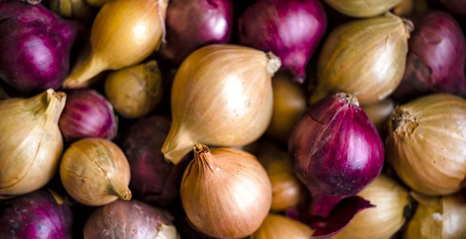 Onion Prices Soar as Storage Woes Bite